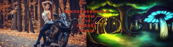 марки nbome Бородино